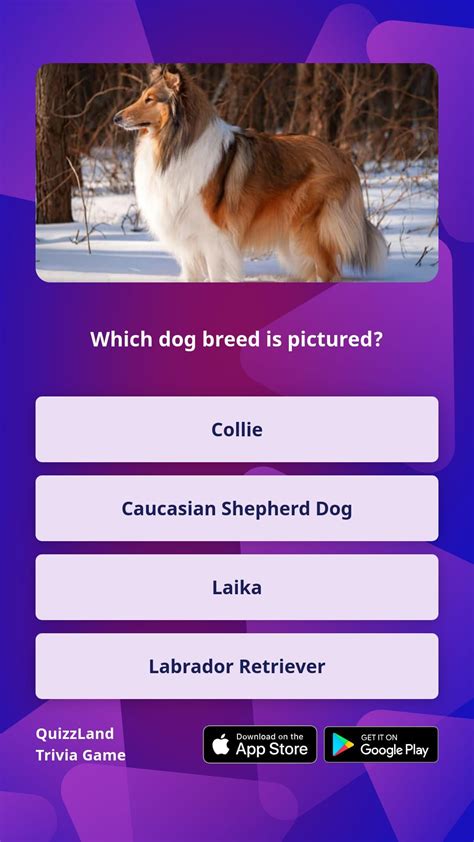 New Things To Learn, Trivia, Dog Breeds, Dogs, Picture, Quizes, Pet Dogs, Doggies, Horse Breeds
