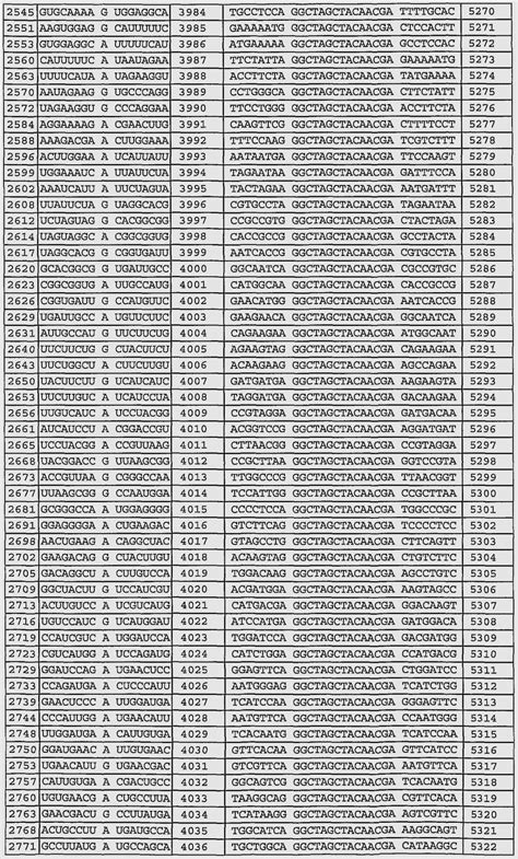 Depro Provera Schedule - Template Calendar Design