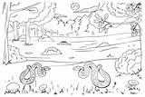 Rainforest Anaconda Drawing Snake Easy Draw Coloring Pages Step Animals  sketch template