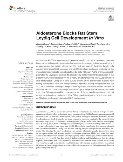 (PDF) Aldosterone Blocks Rat Stem Leydig Cell Development In Vitro