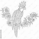 Coloring page Of Cockatoo Parrot Sitting On Tropical liana With Flowers  sketch template