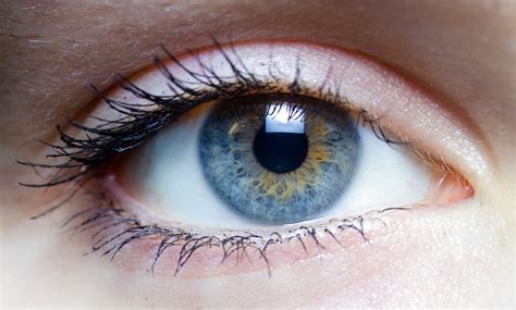File:Iris - left eye of a girl.jpg - Wikimedia Commons