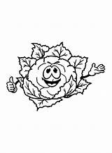 Cauliflower Coloring Pages Printable For Free Download sketch template