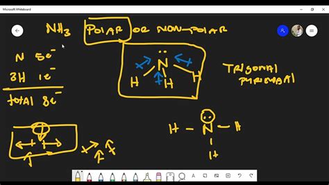Is NH3 (Ammonia) Polar or Non-Polar? Lewis Structure - YouTube
