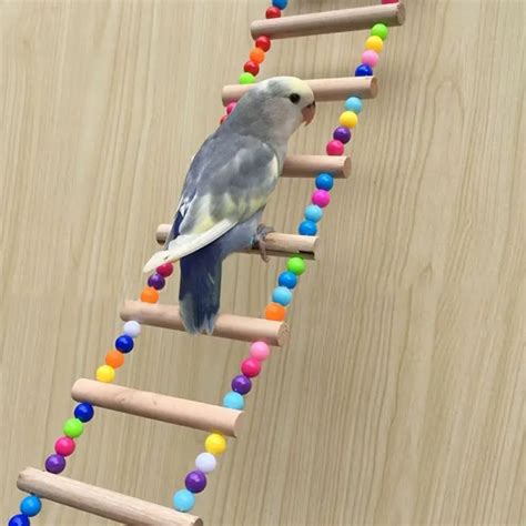 Parrot Toys Safe Ladder Climb Natural Wood Bird Pet Parakeet Hanging ...