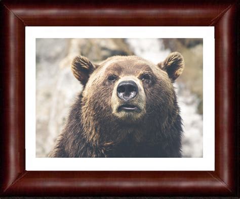 Brown Bear Wall Art Digital Print Poster Photo Photograph | Etsy | Bear wall art, Bear art ...