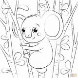 Printable Koala Coloring Pages sketch template
