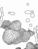 Sea Sponge Page Coloring Pages sketch template