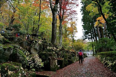 Autumn Color Reports 2018 - Hakone: Approaching Peak