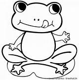 20  Free Printable Frog Coloring Pages EverFreeColoringcom sketch template