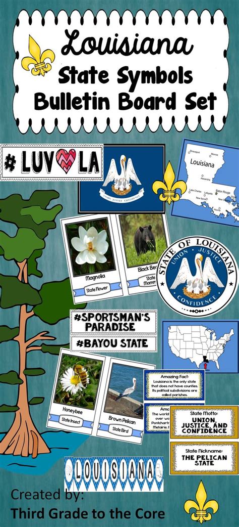 Louisiana State Symbols Bulletin Board Set | State symbols, Louisiana ...