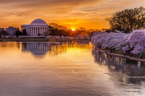 Cherry Blossoms Sunrise | Taken today 4/11/14 during peak bl… | Flickr