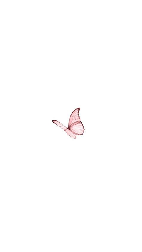 Minimalist Butterfly Wallpapers - Top Free Minimalist Butterfly ...