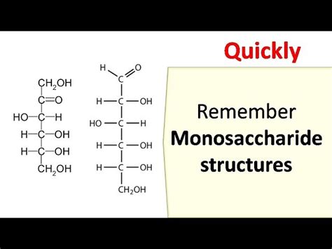 Monosaccharides Structure