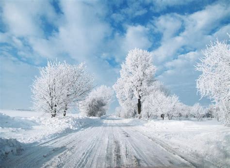 Winter In Poland - http://all-that-is-interesting.com/tag/beautiful/page/3# | Favorite Places ...