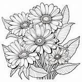 Realistic Daisy Bouquet Coloring Page With Detailed Rendering Stock  sketch template