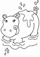 Free Printable Hippo Coloring Pages For Kids sketch template