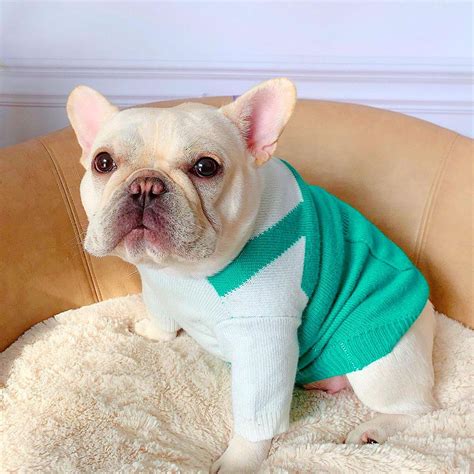 Funny Dog Sweater | Bulldog Sweatshirts | Dog Brand Clothes – Frenchiely