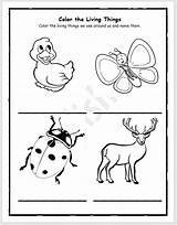Living And Nonliving Things Coloring Pages sketch template
