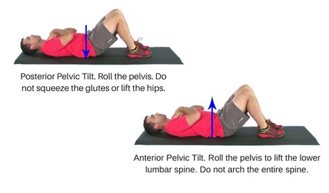 Supine Pelvic Tilts Step-by-Step Guide - GymGuider.com