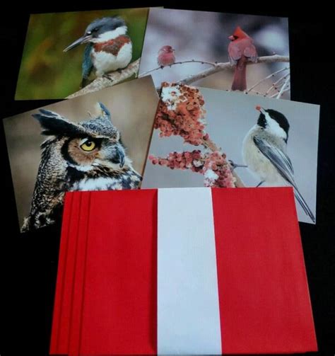 4 National Audubon Society Christmas cards with envelopes | eBay