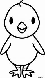 Easy Cute Chick Coloring Page Printable sketch template