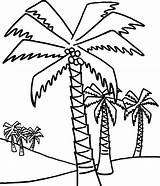 Palm Tree Coloring Page Pages Coconut Trees  sketch template