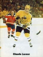 Cincinnati Stingers hockey team [WHA] statistics and history at hockeydb.com