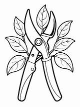 Pruning Shears Secateurs coloring Book Pages For Children And Adults  sketch template