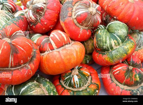 Turban squash hi-res stock photography and images - Alamy