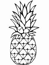 Pineapple Tropical Fruit coloring Page  Download Print Or Color sketch template