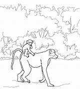 Realistic Baboon Coloring Page  ColoringBay sketch template