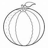 Premium Vector  Cantaloupe coloring page Illustration sketch template