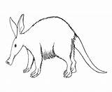 Aardvark 1 Coloring Page  Free Printable Pages For Kids sketch template
