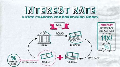 What's an Interest Rate? Napkin Finance Answers All Your Questions!