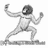 Baboon Coloring Pages  Free & Printable sketch template