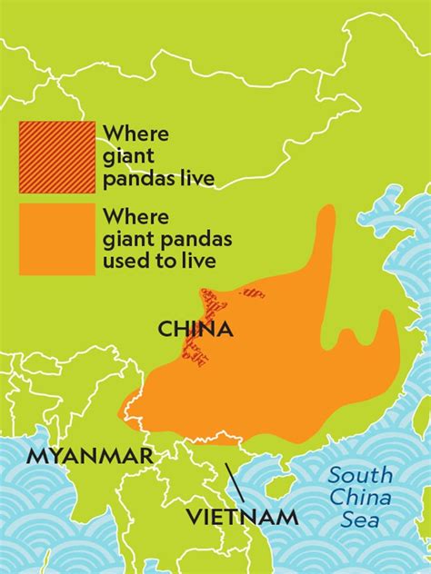 Panda Bear Habitat Map