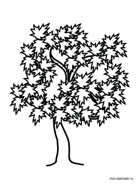 Maple Tree Drawing at GetDrawings | Free download