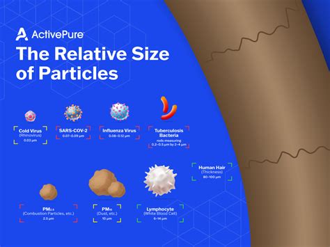 Particulate Matter 2.5 in the Office - ActivePure Blog