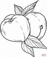Peaches coloring page  Free Printable Coloring Pages sketch template