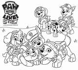Paw Patrol Characters Head Coloring Page  Free Printable sketch template