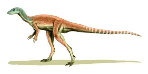 Palaeos Vertebrates Ornithischia