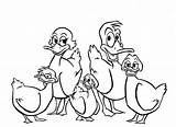 Five Little Ducks coloring pages  ColoringLib sketch template