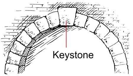 Parveen Kaswan, IFS on Twitter: "Why beaver is a keystone species. Here ...