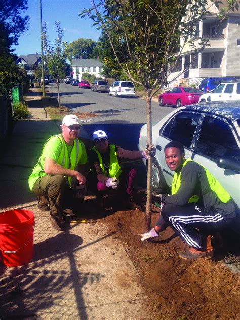 Community volunteers planting trees. Photograph: D. Bloniarz ...