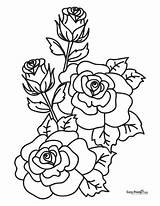 Printable Rose Coloring Pages  30 Roses Illustrations Easy Peasy And Fun sketch template