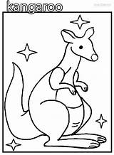 Kangaroo Coloring Picture Pages sketch template