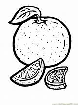 Coloring Pages Orange Food & Fruits > Oranges  Free Printable sketch template