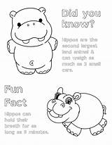 Cute Hippo Coloring Pages For Kids And Adults sketch template