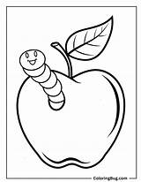 30 Apple Coloring Pages Free Printable PDFs sketch template